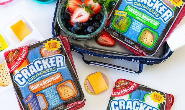 Armour Lunchmakers Just $1 At Kroger