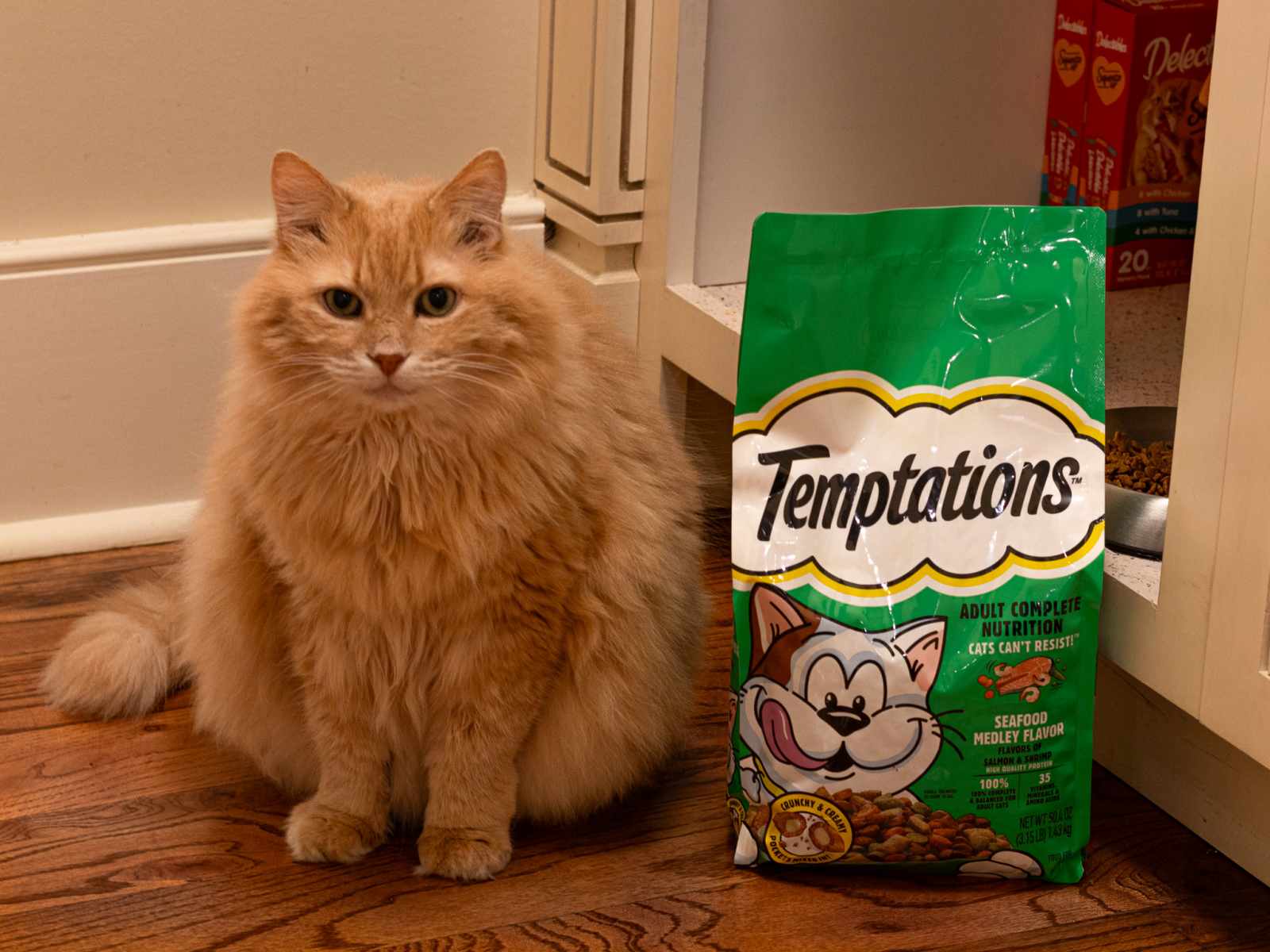 Get Temptations Dry Cat Food For Just $4.49 Per Bag At Kroger