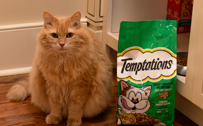 Get Temptations Dry Cat Food For Just $4.49 Per Bag At Kroger