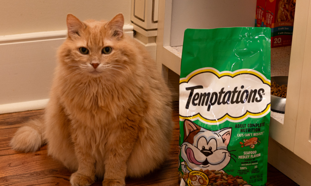 Get Temptations Dry Cat Food For Just $4.49 Per Bag At Kroger