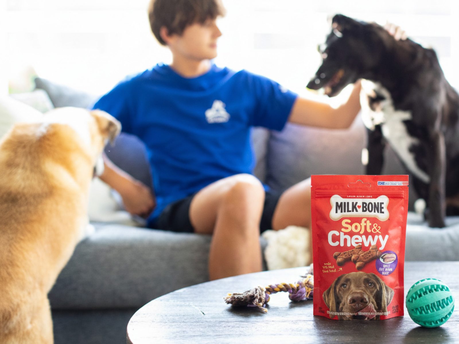 Milk-Bone Dog Treats Just $2.99 At Kroger