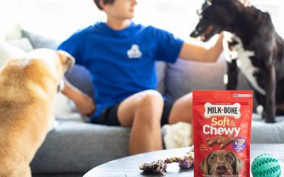 Milk-Bone Dog Treats Just $2.99 At Kroger