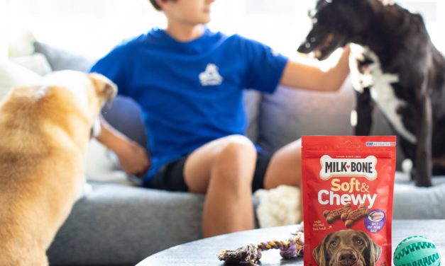 Milk-Bone Dog Treats Just $2.99 At Kroger