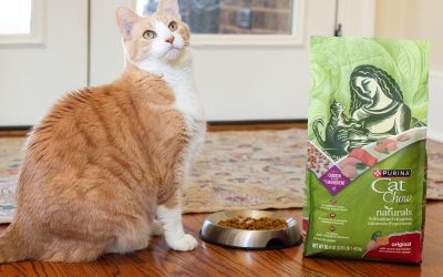 Get Purina Cat Chow Naturals Dry Cat Food For $3.49 At Kroger