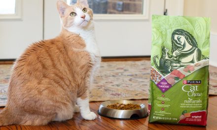 Get Purina Cat Chow Naturals Dry Cat Food For $3.49 At Kroger