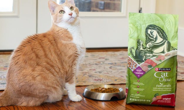 Get Purina Cat Chow Naturals Dry Cat Food For $3.49 At Kroger