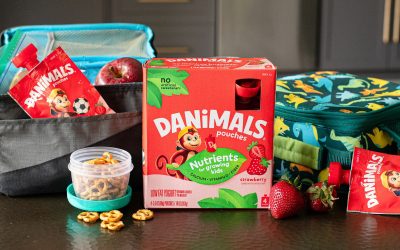 Dannon Danimals Pouches 4-Pack Just $3.99 At Kroger