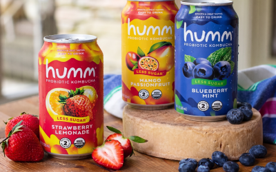 Get A Can Of Humm Kombucha As Low As $1.75 At Kroger