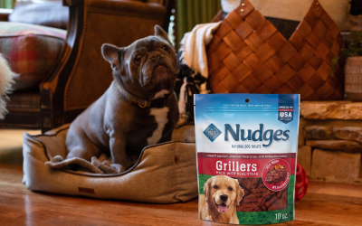 Blue Buffalo Nudges Dog Treats As Low As $2.75 At Kroger (Regular Price $10.49)