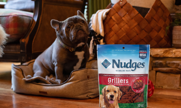 Blue Buffalo Nudges Dog Treats As Low As $2.75 At Kroger (Regular Price $10.49)